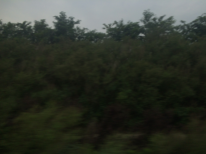 Ng Hon Lam Photography