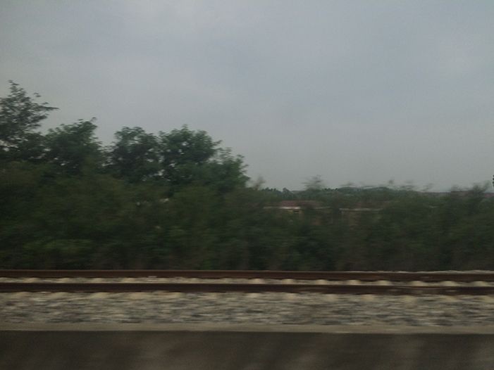 Ng Hon Lam Photography