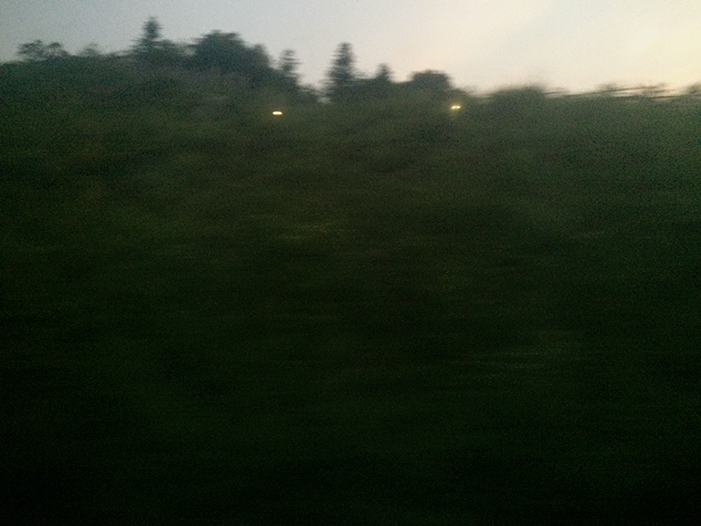 Ng Hon Lam Photography