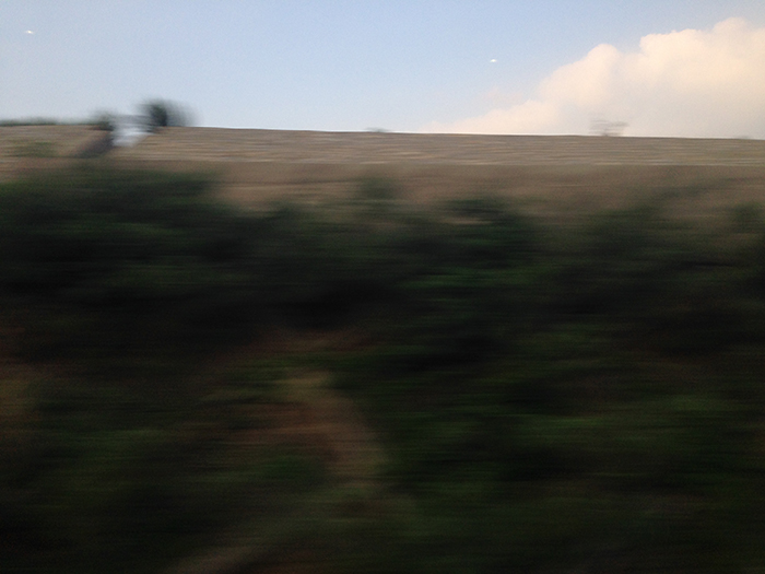 Ng Hon Lam Photography