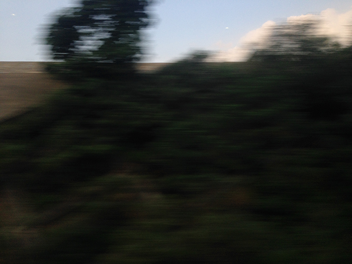 Ng Hon Lam Photography