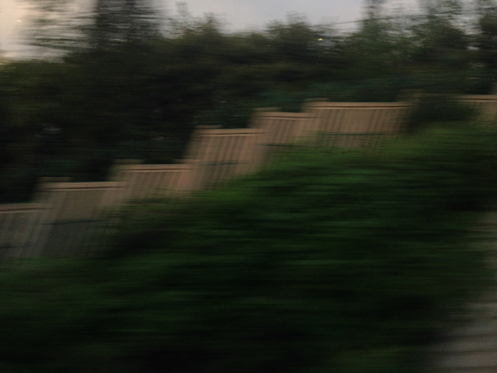 Ng Hon Lam Photography