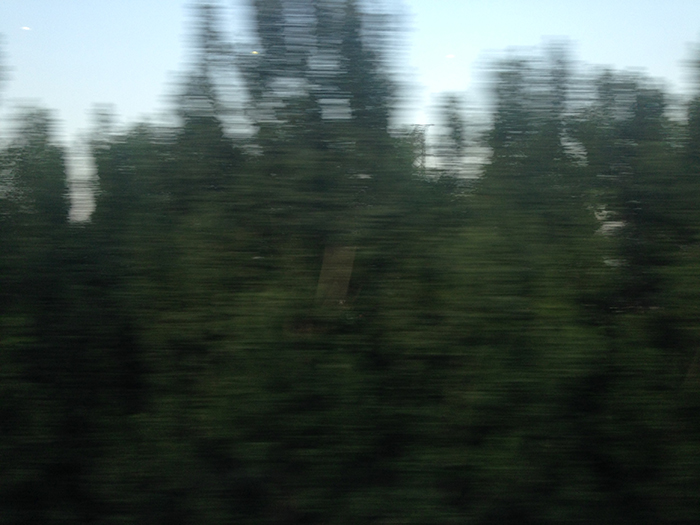 Ng Hon Lam Photography