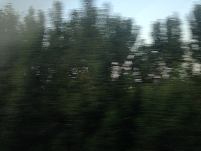 Ng Hon Lam Photography