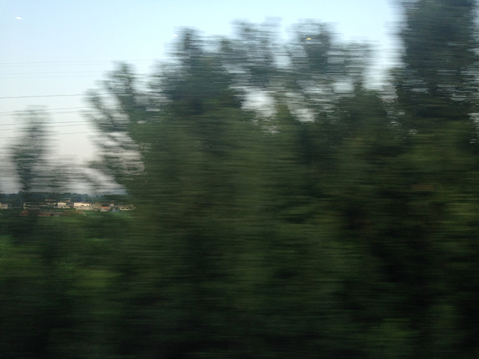 Ng Hon Lam Photography