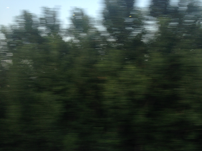 Ng Hon Lam Photography