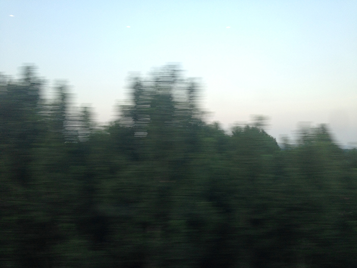 Ng Hon Lam Photography