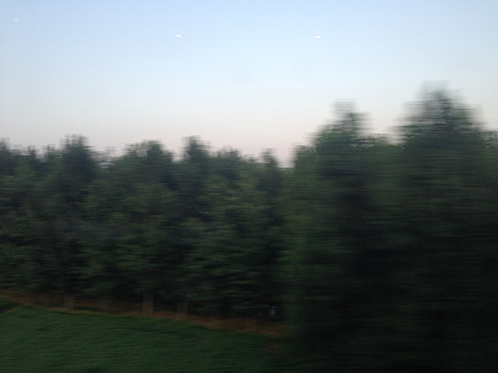 Ng Hon Lam Photography