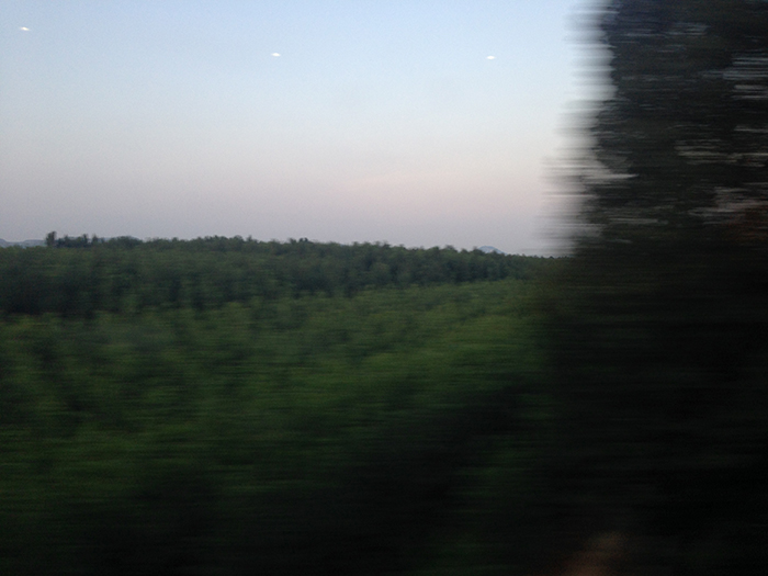 Ng Hon Lam Photography