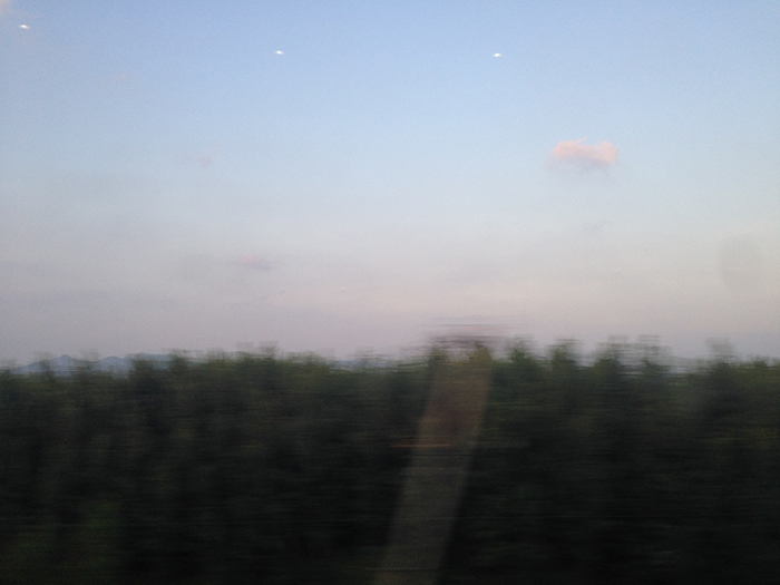 Ng Hon Lam Photography