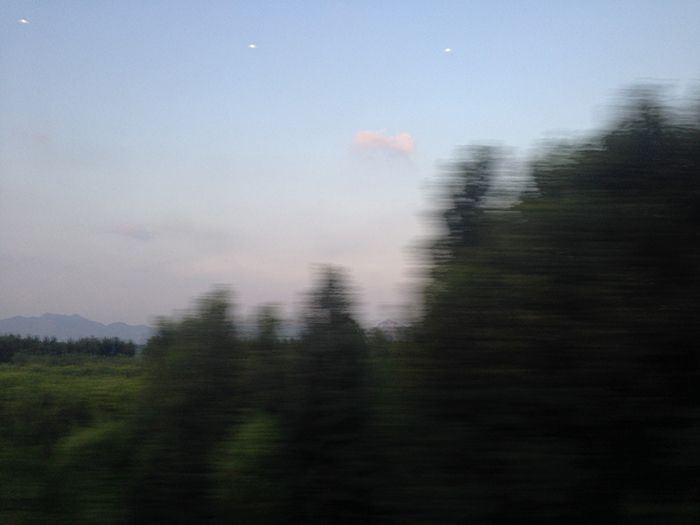 Ng Hon Lam Photography