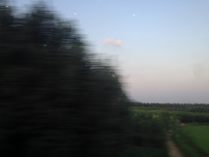 Ng Hon Lam Photography