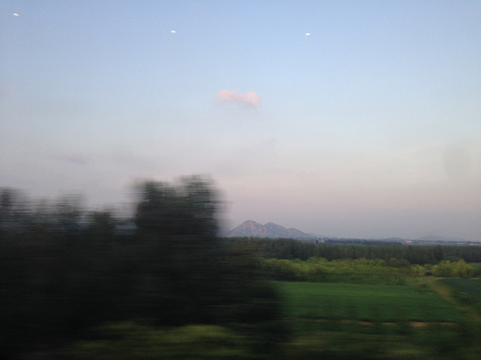 Ng Hon Lam Photography