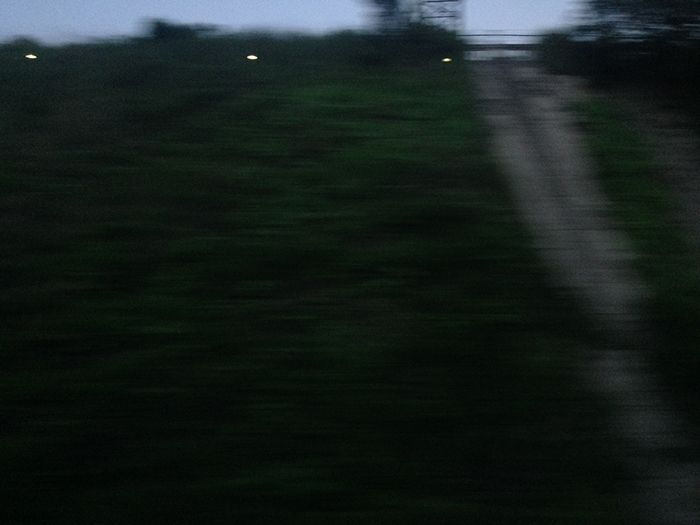 Ng Hon Lam Photography