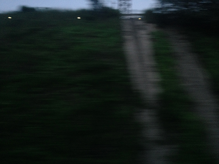 Ng Hon Lam Photography