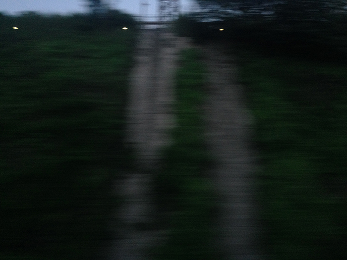 Ng Hon Lam Photography