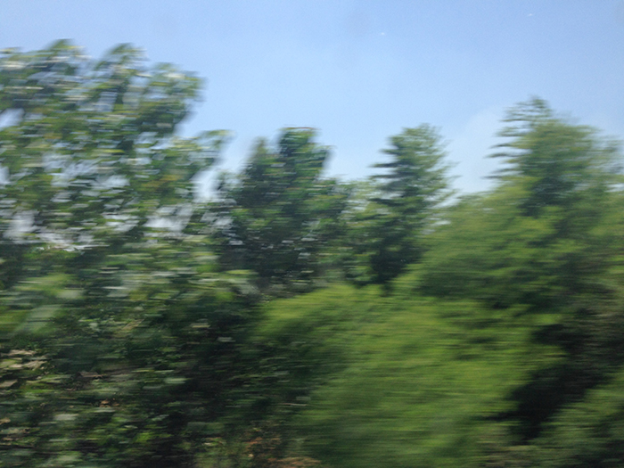 Ng Hon Lam Photography