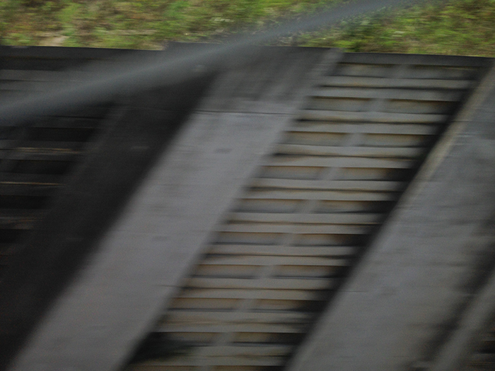 Ng Hon Lam Photography