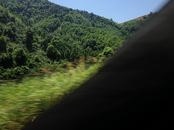 Ng Hon Lam Photography