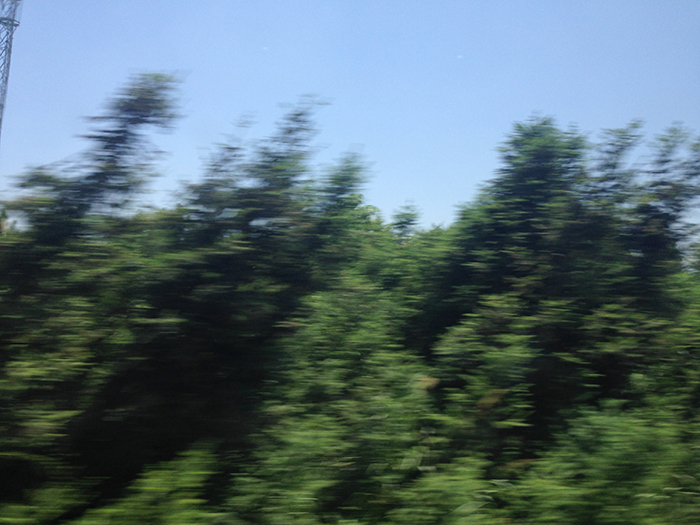 Ng Hon Lam Photography