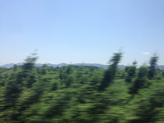 Ng Hon Lam Photography