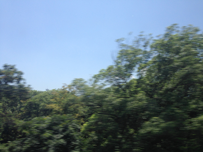 Ng Hon Lam Photography