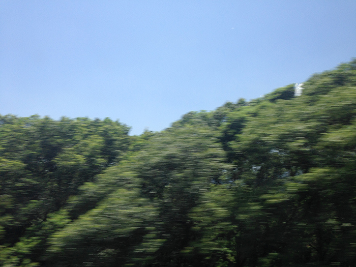 Ng Hon Lam Photography