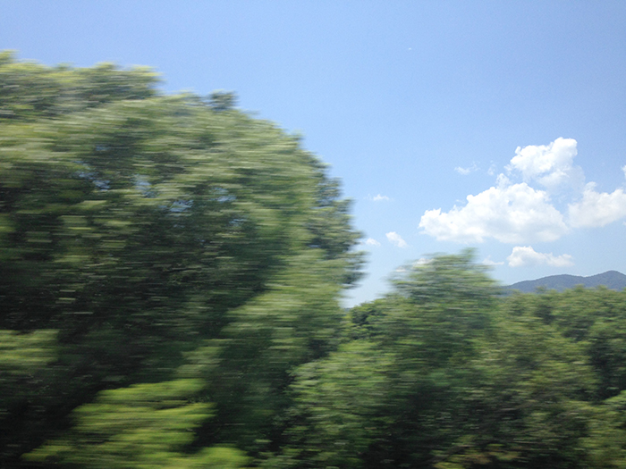 Ng Hon Lam Photography