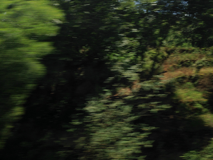 Ng Hon Lam Photography