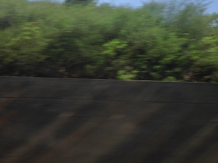 Ng Hon Lam Photography