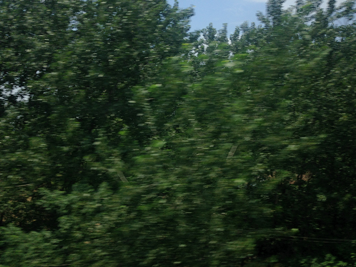 Ng Hon Lam Photography