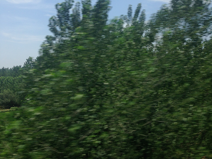 Ng Hon Lam Photography