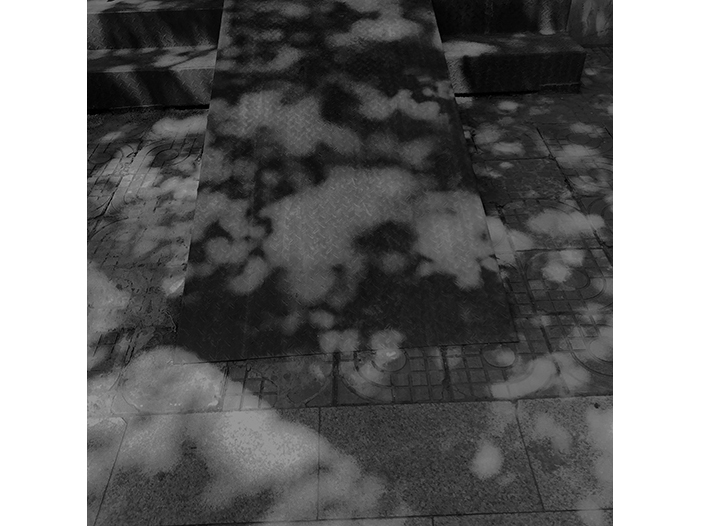 Ng Hon Lam Photography