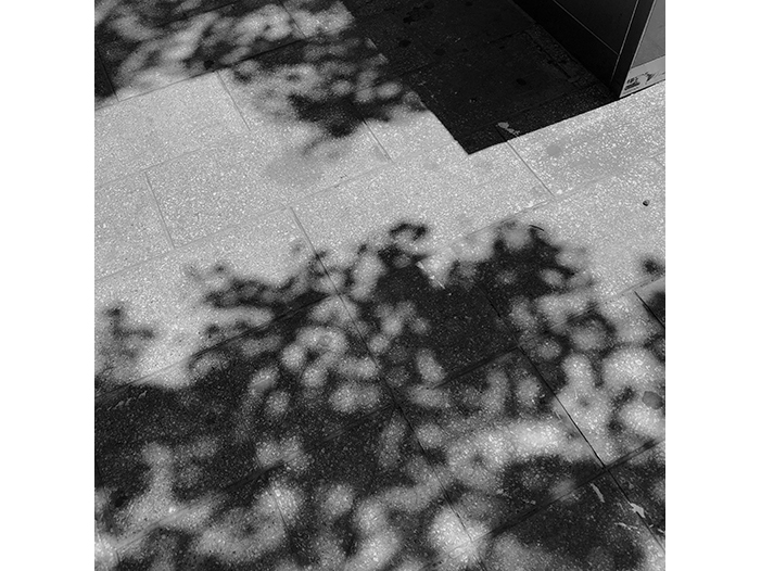 Ng Hon Lam Photography