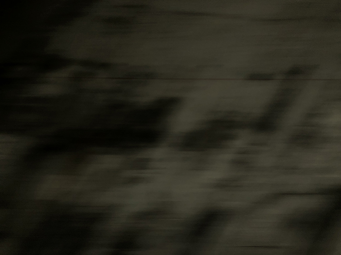 Ng Hon Lam Photography