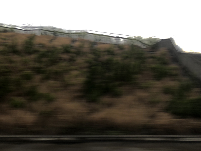 Ng Hon Lam Photography