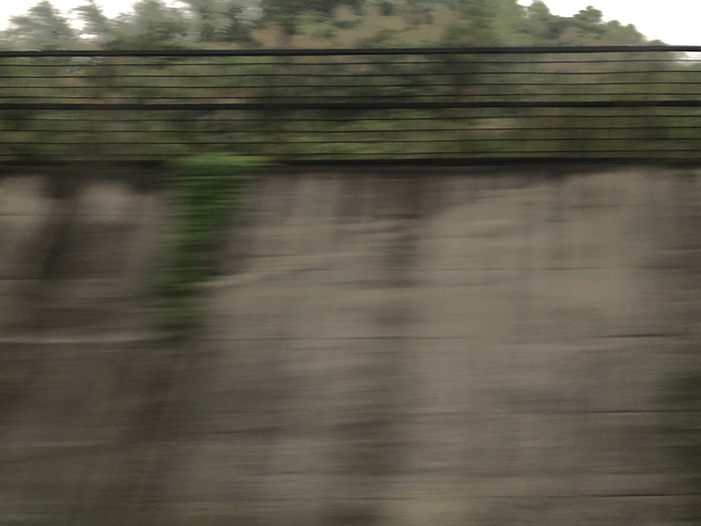 Ng Hon Lam Photography