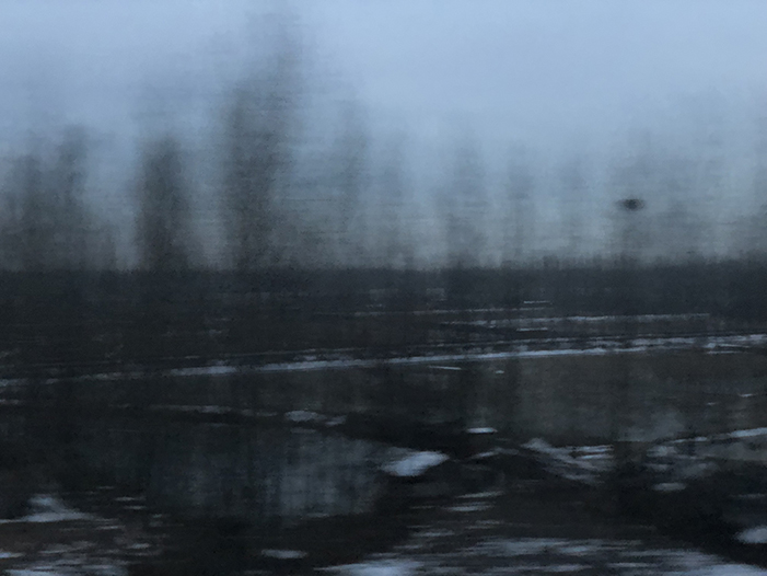 Ng Hon Lam Photography