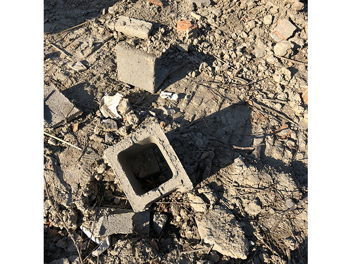 Ng Hon Lam Photography