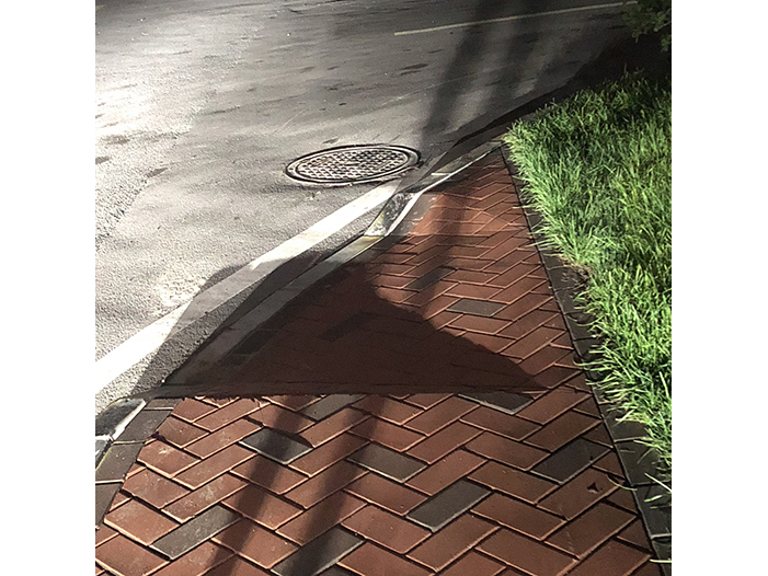 Ng Hon Lam Photography