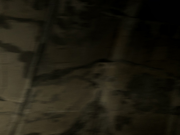 Ng Hon Lam Photography