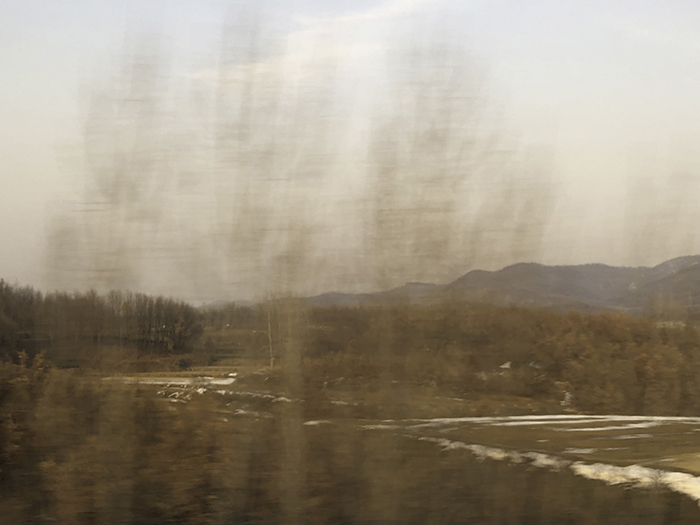 Ng Hon Lam Photography