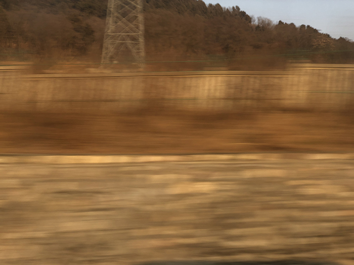 Ng Hon Lam Photography