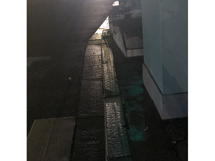 Ng Hon Lam Photography