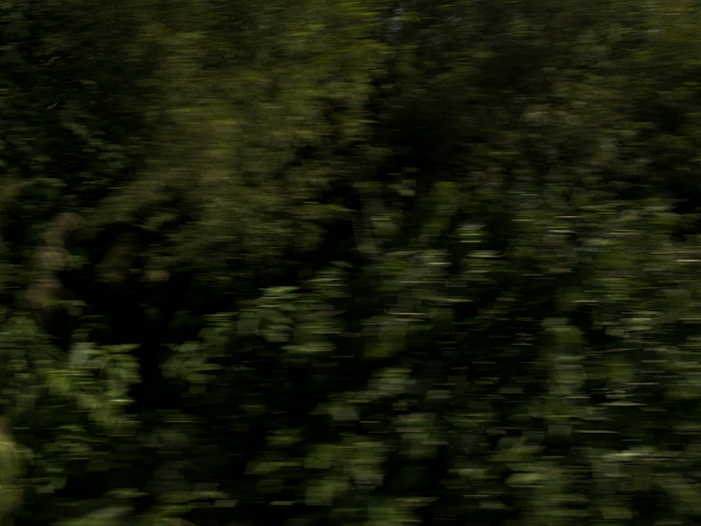 Ng Hon Lam Photography