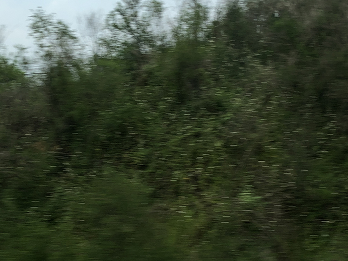 Ng Hon Lam Photography