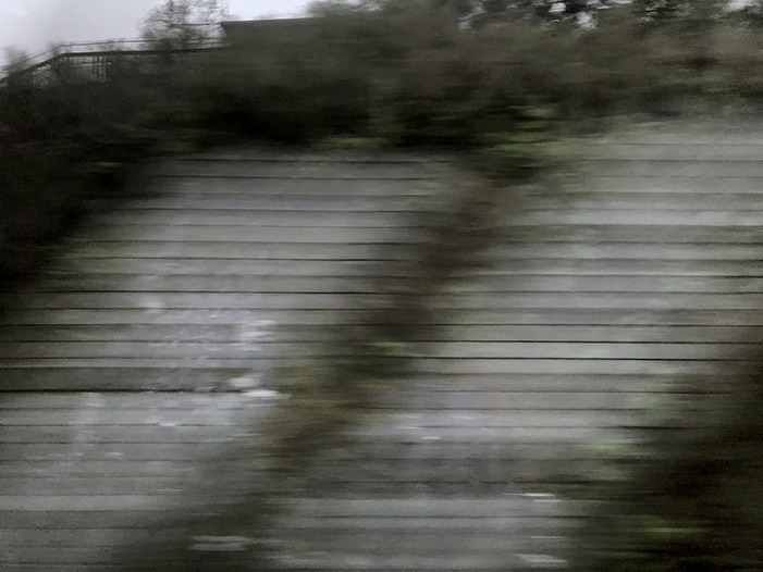 Ng Hon Lam Photography