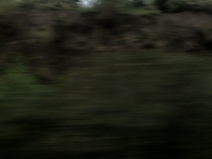 Ng Hon Lam Photography