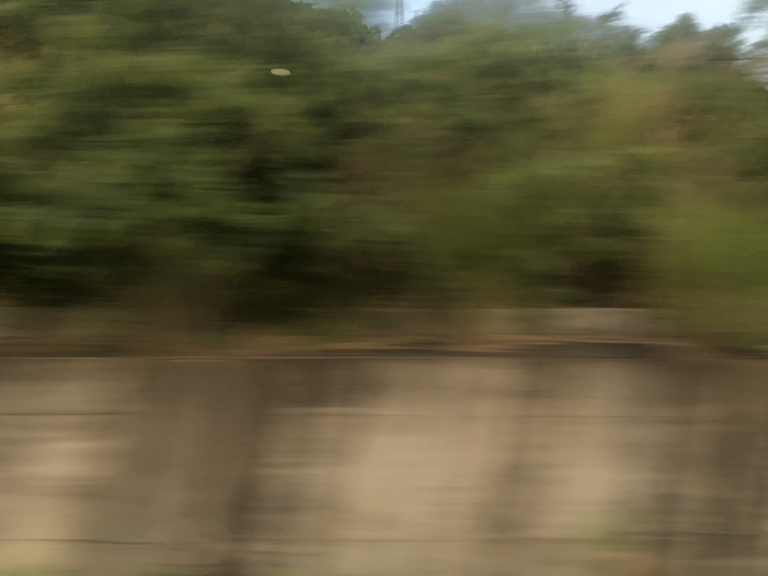 Ng Hon Lam Photography