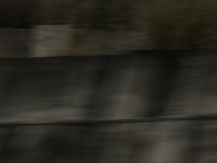 Ng Hon Lam Photography